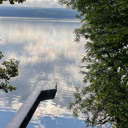 Avant Garde Seneca Dundee Bagian luar foto